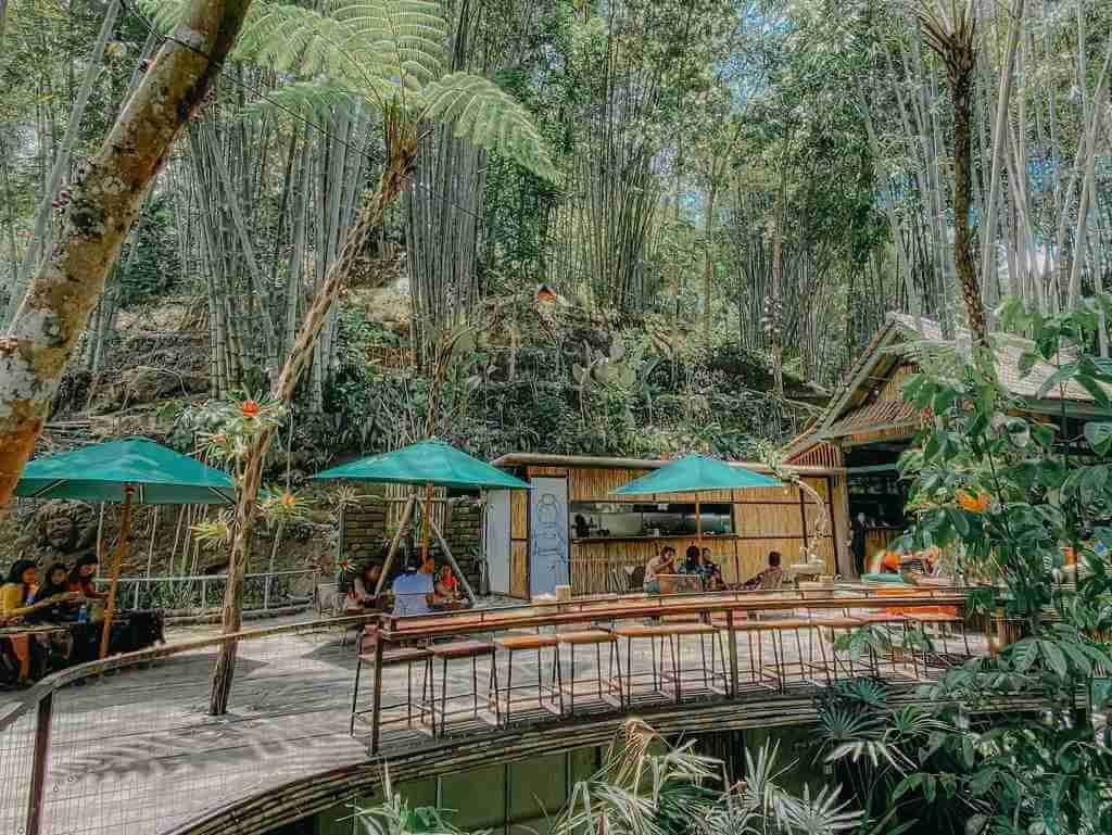 121384802_160155235776731_8062751972402658254_o