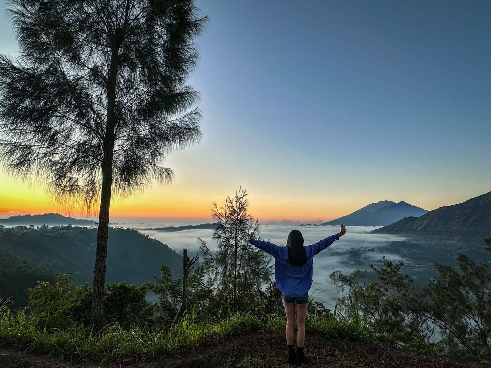 WhatsApp Image 2023-07-04 at 7.31.26 PM