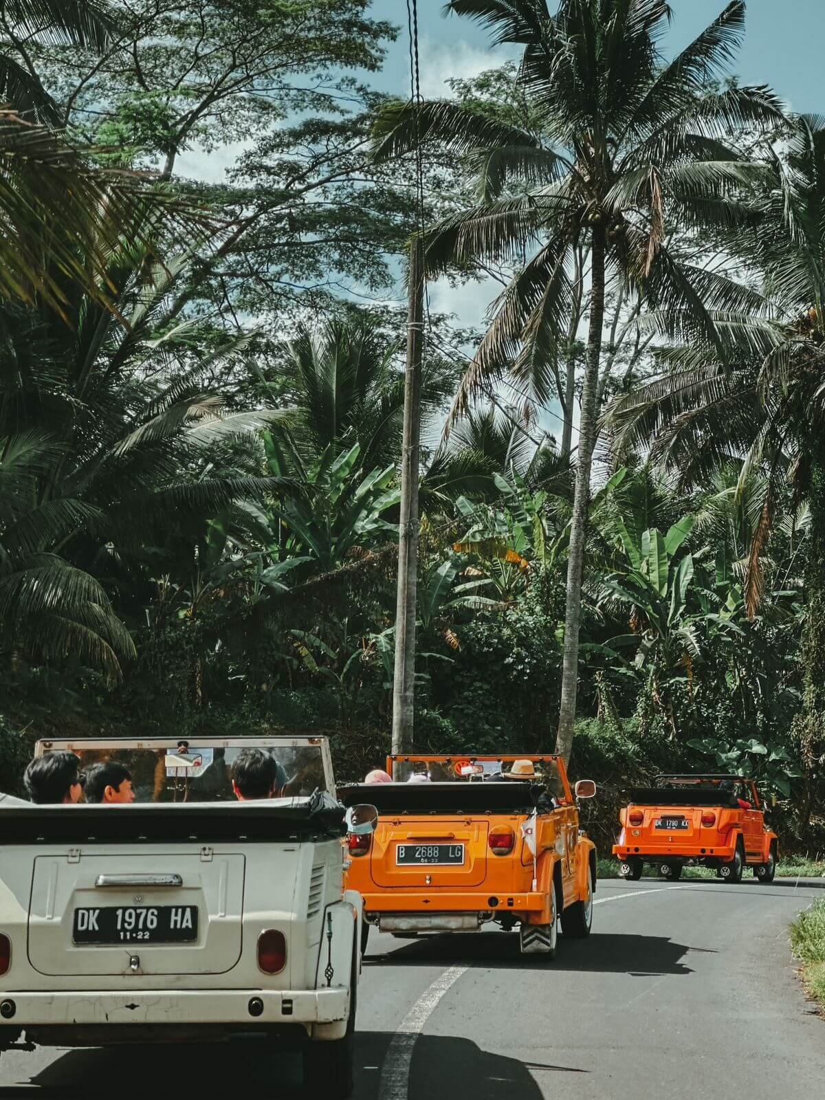 WhatsApp Image 2023-07-04 at 7.32.51 PM (1)