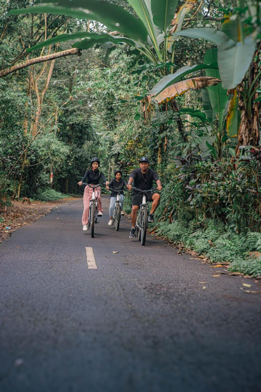 WhatsApp Image 2025-11-15 at 3.30.06 PM (1)