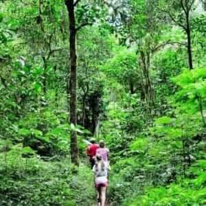 Jungle Trekking & Village Tour in Bali
